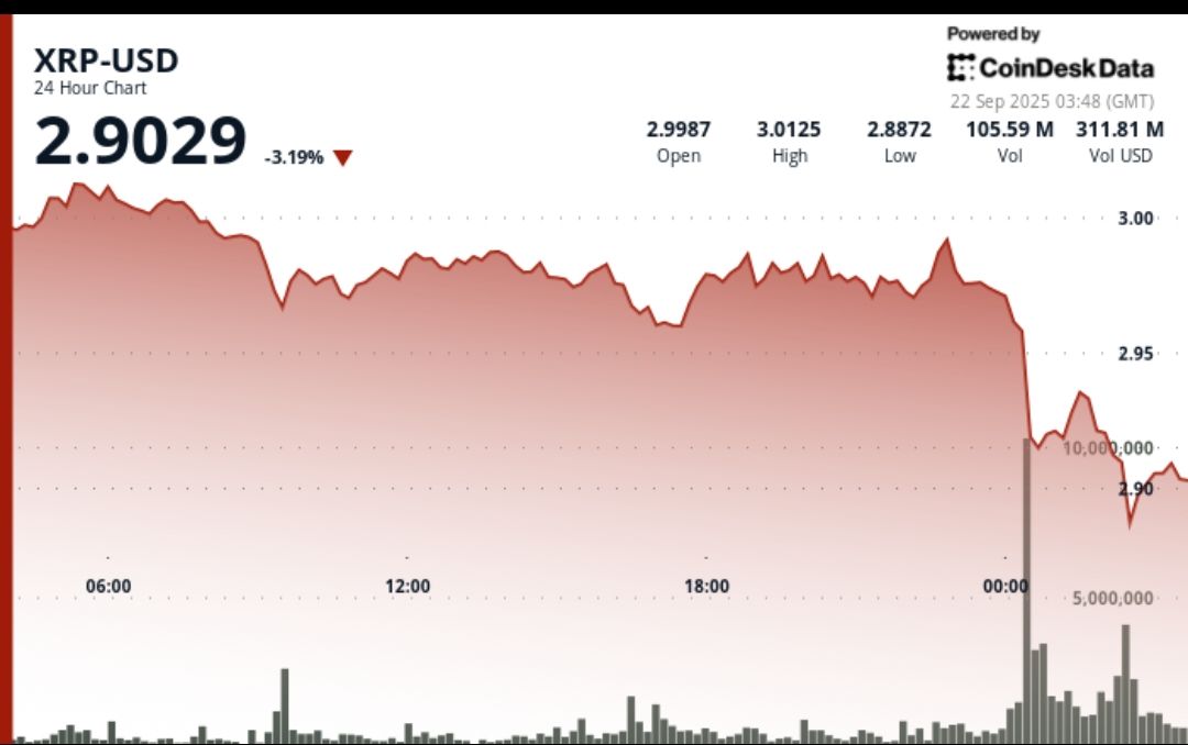 XRP 形成下行通道，下一目标价位为 2.75 美元。