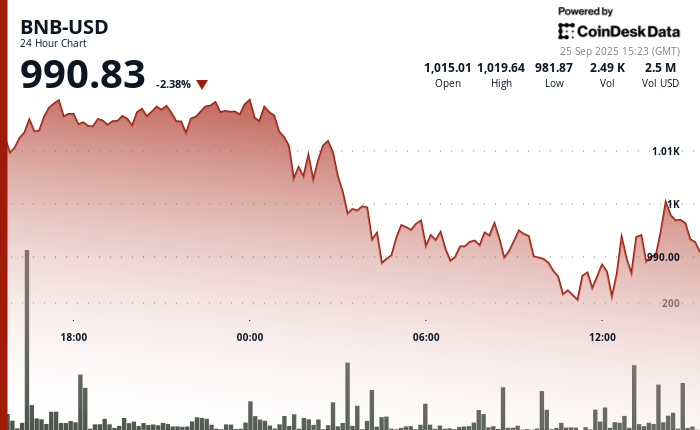 随着加密货币市场下跌,BNB 跌破 1000 美元,恐慌指数升至“恐惧”水平