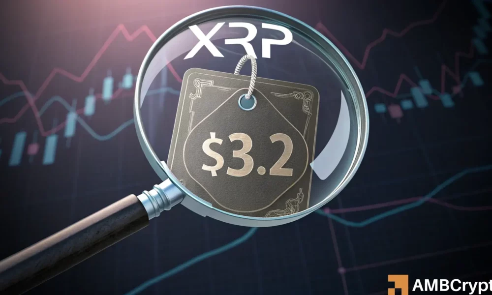 After 0 Million Long Liquidations, XRP Plunges: What\