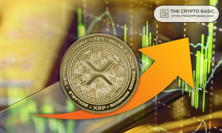 分析师预测XRP何时将创下新高,并引用比特币12.5万美元的历史高点