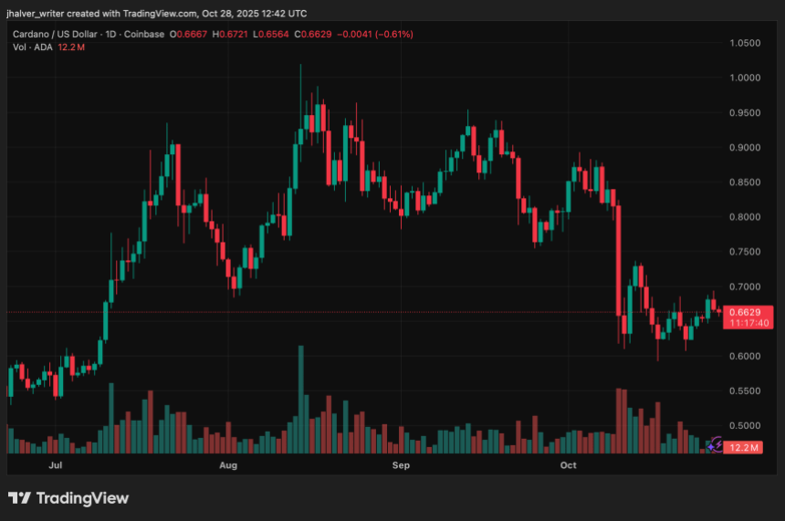 随着卡尔达诺接近涨势,鲸鱼悄悄囤积 ADA,下一个目标或许是5美元?